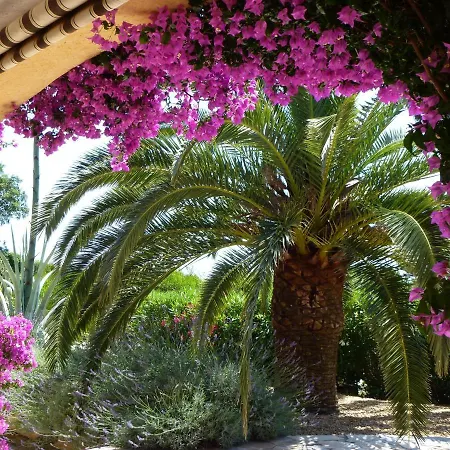 Villa Lou Pei *